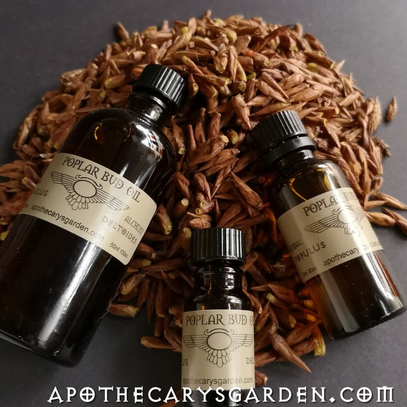 Balm of Gileadpoplar Bud Oilcottonwood Oilquebec Etsy Canada