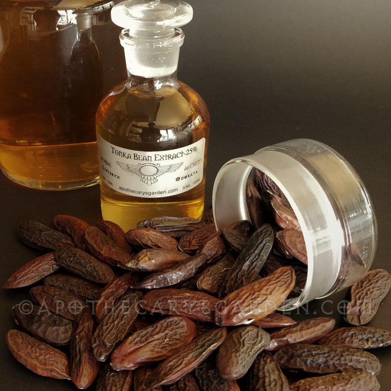 Tonka Bean Extract 25SWOONDipteryx odorata essence for Etsy