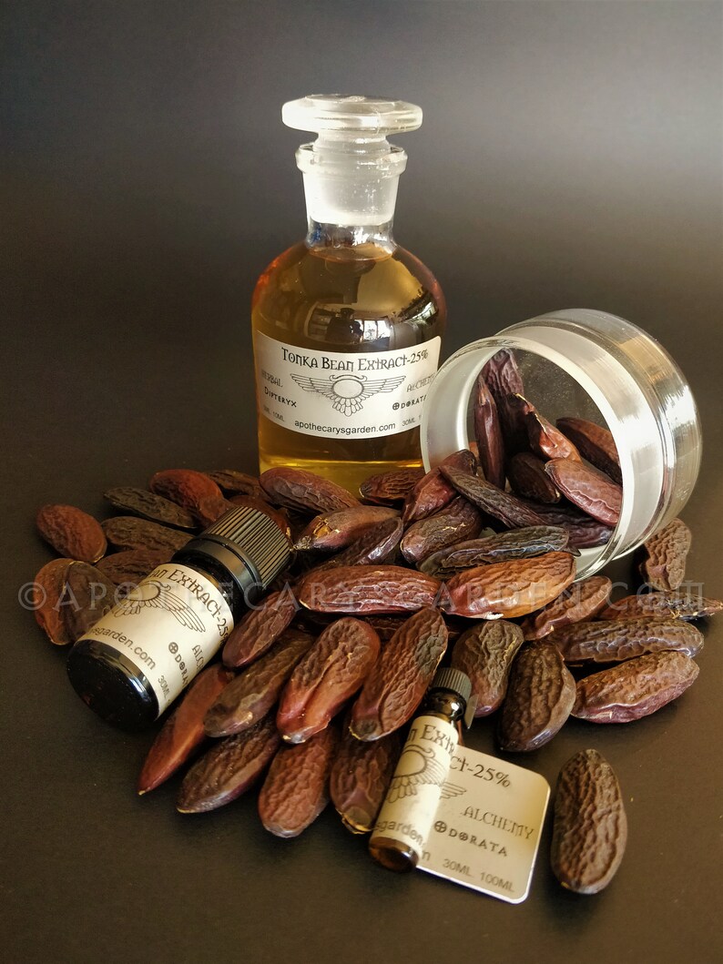 Tonka Bean Extract 25SWOONDipteryx odorata essence for Etsy
