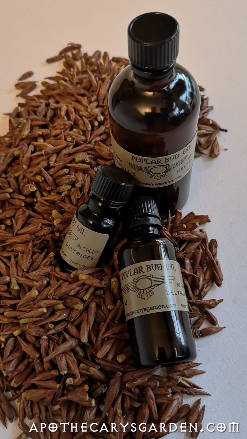 Balm of Gileadpoplar Bud Oilcottonwood Oilquebec Etsy