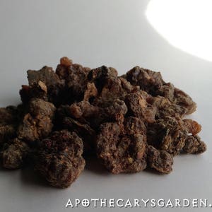 Fresh Fragrant Myrrh-Ethiopia-Commiphora Myrrha-For Incense, perfume and medicine. Ogaden Region image 4