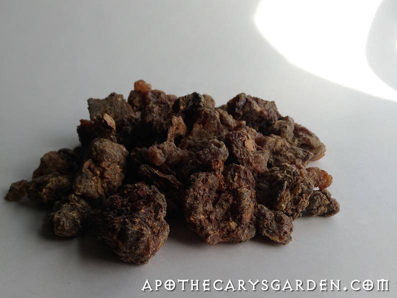 Fresh Fragrant Myrrh-Ethiopia-Commiphora Myrrha-For Incense, perfume and medicine. Ogaden Region image 4