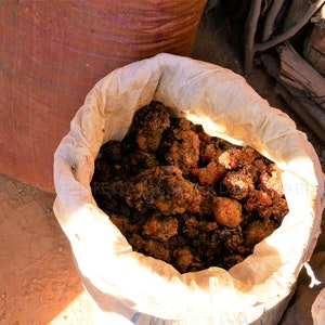 Fresh Fragrant Myrrh-Ethiopia-Commiphora Myrrha-For Incense, perfume and medicine. Ogaden Region image 2
