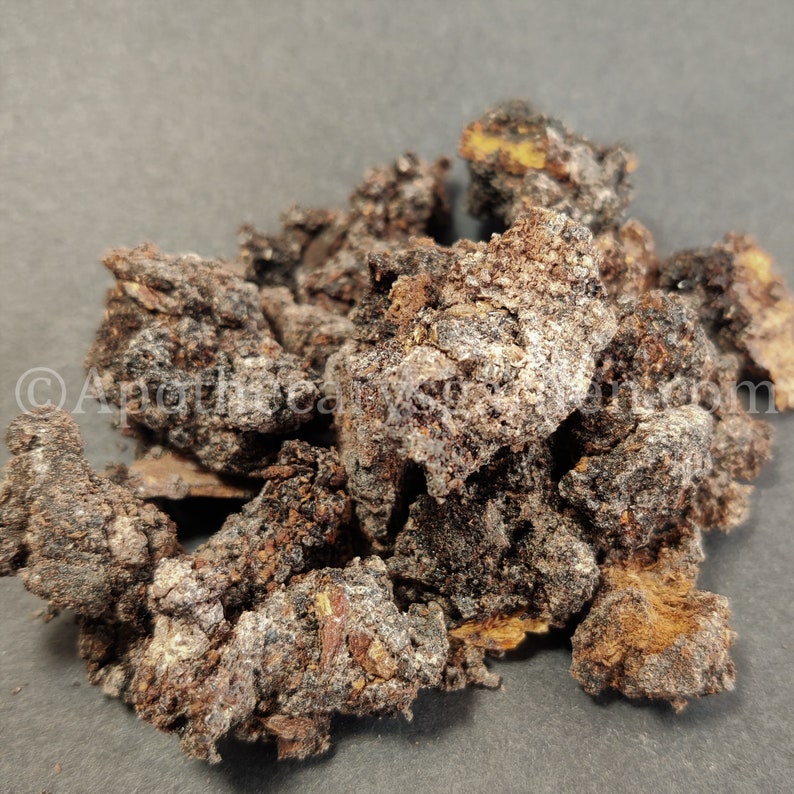 Black Mastic-RAREPistacia Aetiopica-For incense & perfume-Somalia-Sustainable harvest image 3