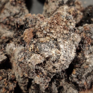 Black Mastic-RAREPistacia Aetiopica-For incense & perfume-Somalia-Sustainable harvest image 5