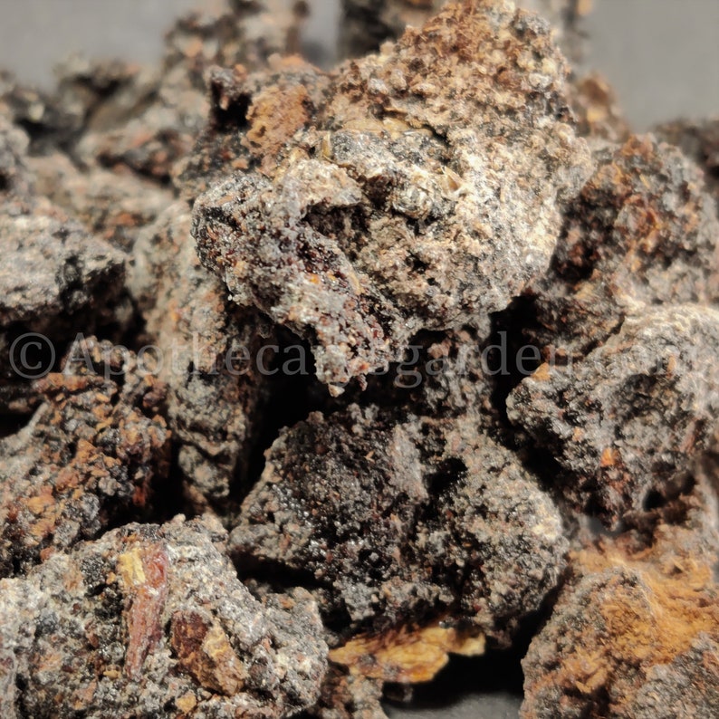 Black Mastic-RAREPistacia Aetiopica-For incense & perfume-Somalia-Sustainable harvest image 4