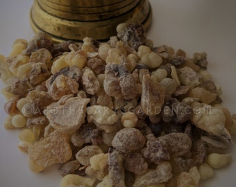 Frankincense Sacra Oman-Boswellia Sacra. A Fresh and fragrant new shipment!