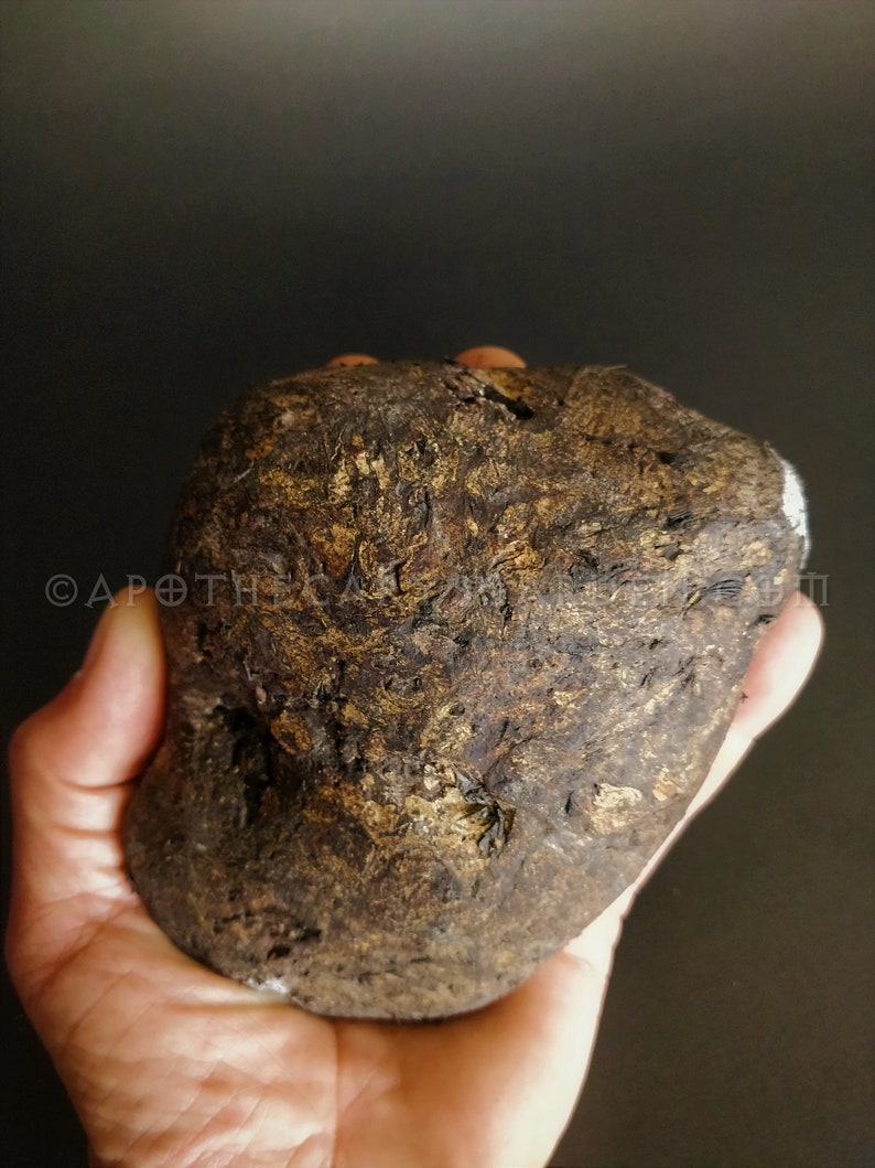 Ambergris-Ocean Gold, Whale Vomit, Aphrodisiac for Perfume, Incense, Medicine.