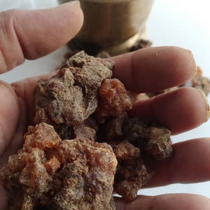 Fresh Fragrant Myrrh-Ethiopia-Commiphora Myrrha-For Incense, perfume and medicine. Ogaden Region image 8