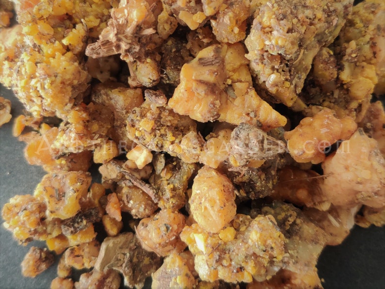 Bitter Asafoetida ResinGreen AsafoetidaRareFragrant & Etsy