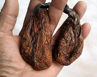 Castor sacs. Grade #1 Beaver Castor-Castoreum-Pheromones-Musk-Perfume, Medicine & Incense ingredient.