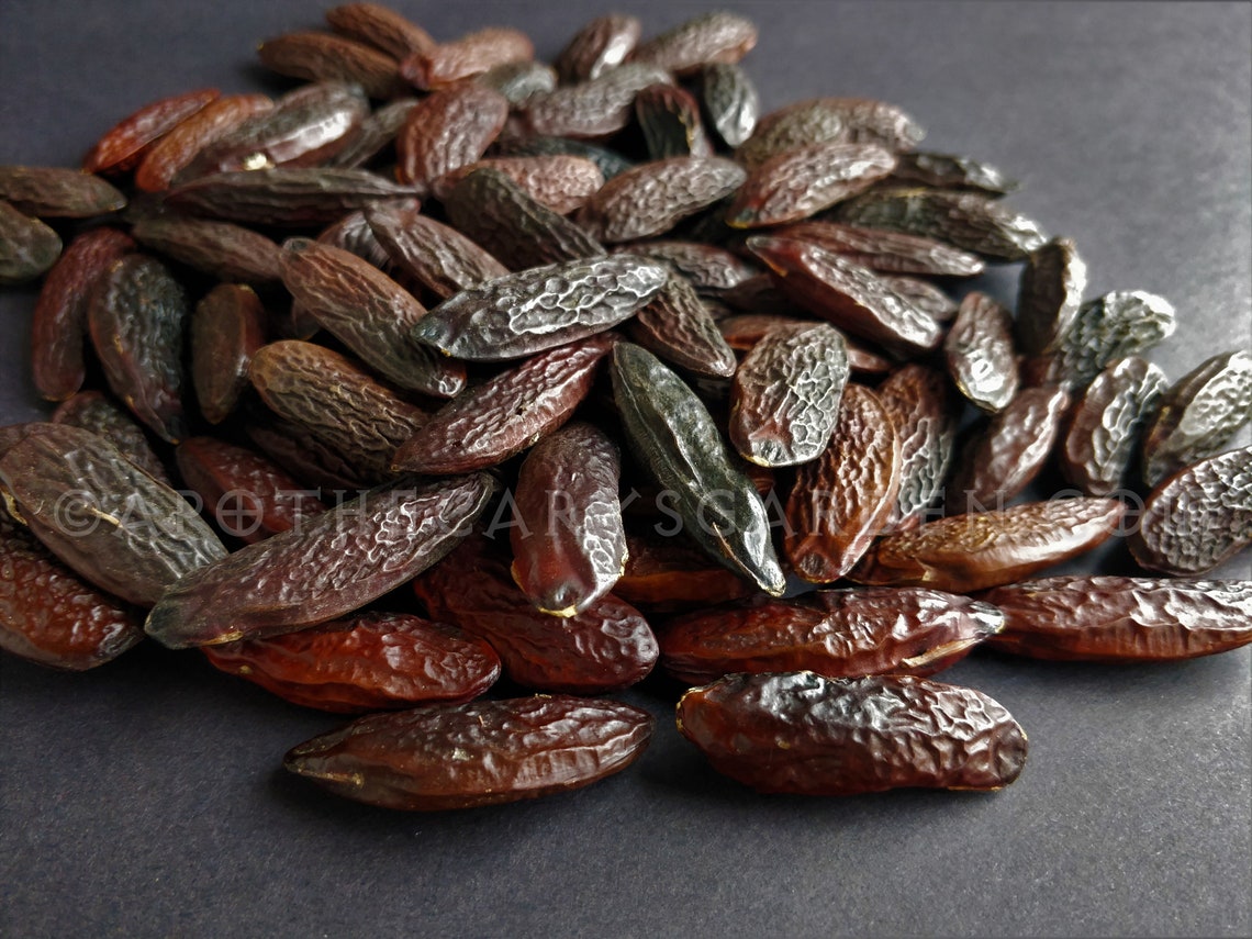 Tonka Bean Extract 25SWOONDipteryx odorata essence for Etsy