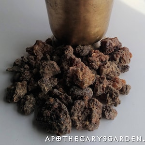Fresh Fragrant Myrrh-Ethiopia-Commiphora Myrrha-For Incense, perfume and medicine. Ogaden Region image 9