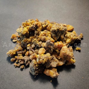 Bitter Asafoetida Resin-Rare!-Fragrant & Fresh-For Incense-Magic-Medicine and Perfume-Afghanistan-Ferula foetida-
