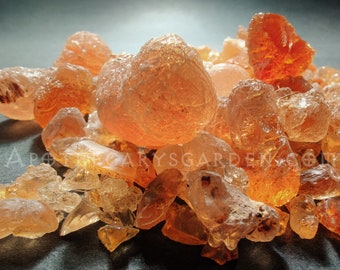 Gum Arabic. Kenya.  Acacia seyal-A fair trade and sustainable gum for incense, medicine and culinary applications.