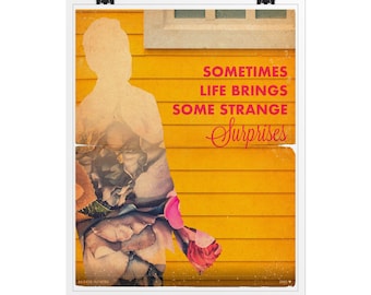 Broken Flowers Movie Poster / Bill Murray / Vintage Style Magazine / Retro Print / Cinema Studio / Jim Jarmusch /  Ship to USA / CANADA
