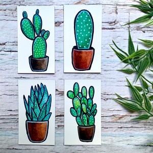 4 aimants Cactus et Succulentes