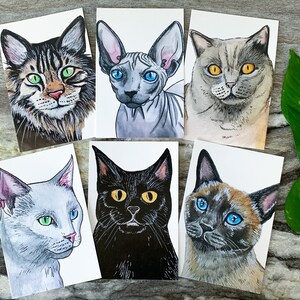 6 cartes postales chats