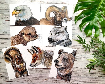 Collection of 7 animal postcards from Canada