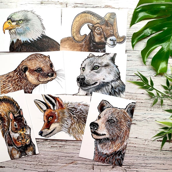 Collection de 7 cartes postales animaux du Canada