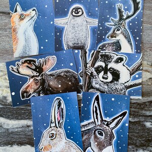 7 cartes postales animaux sous la neige
