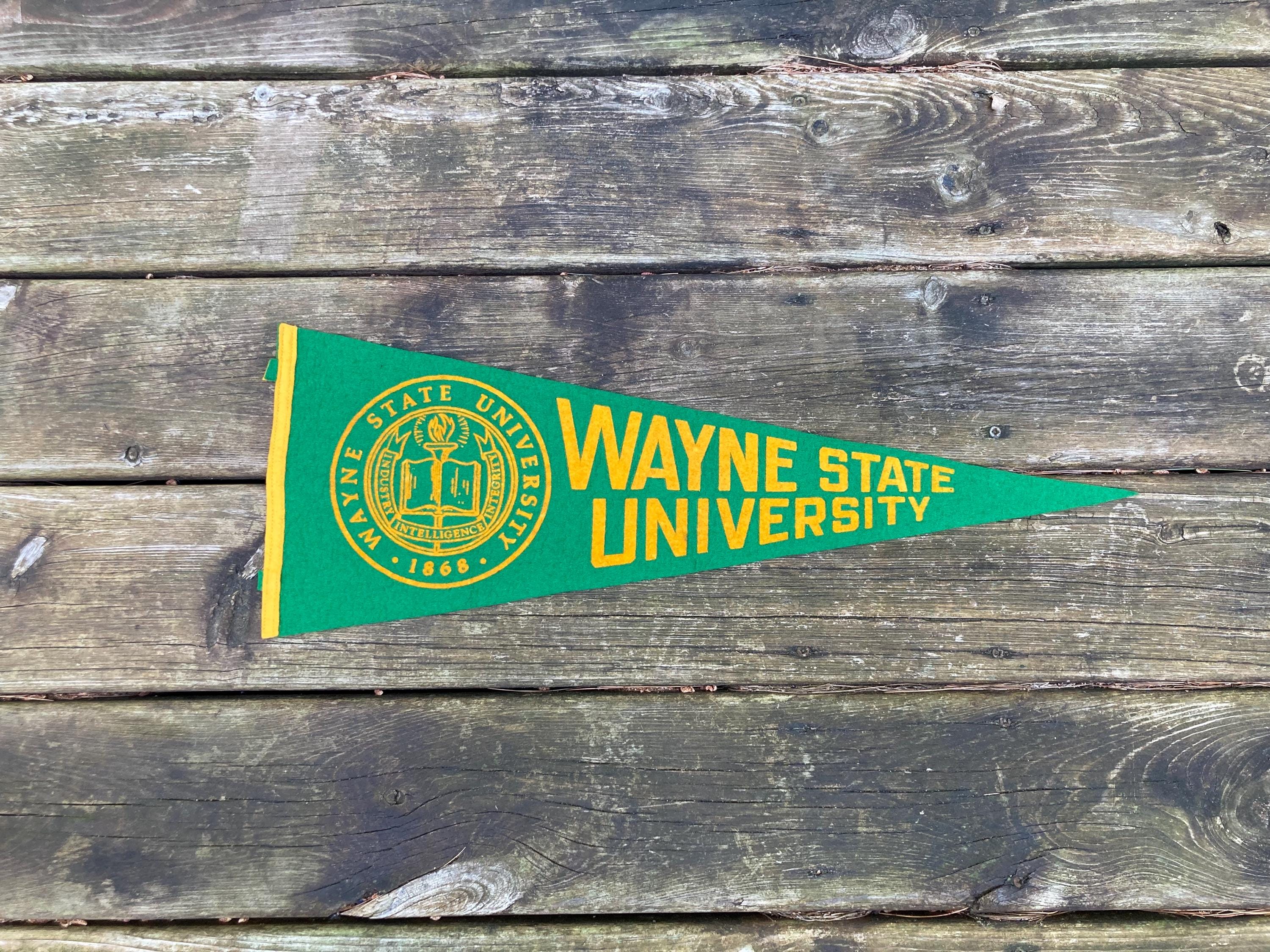 Vintage Wayne State University Felt Pennant Old College Pennant Green and Yellow