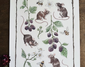 Blackberry Mice Art Print | Nature Art | Animal Art | Fairy Tale | Illustration | Signed Print | Cottagecore | Fairycore | Whimsical Art