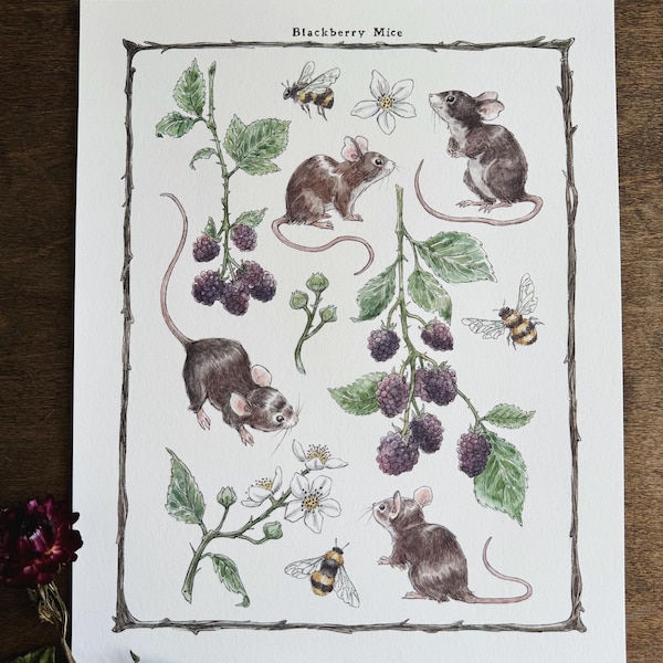 Impression d'art de souris Blackberry | Art naturel | Art animalier | Conte de fées | Illustration | Impression signée | Cottagecore | Noyau de fée | Art fantaisiste