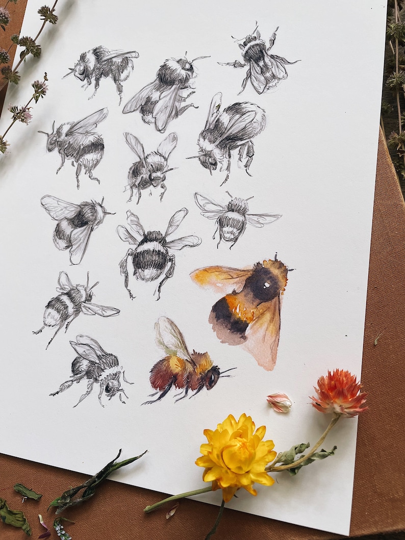 Busy Bees Art Print | Nature Art | Illustration | Bee | Signed Print ...