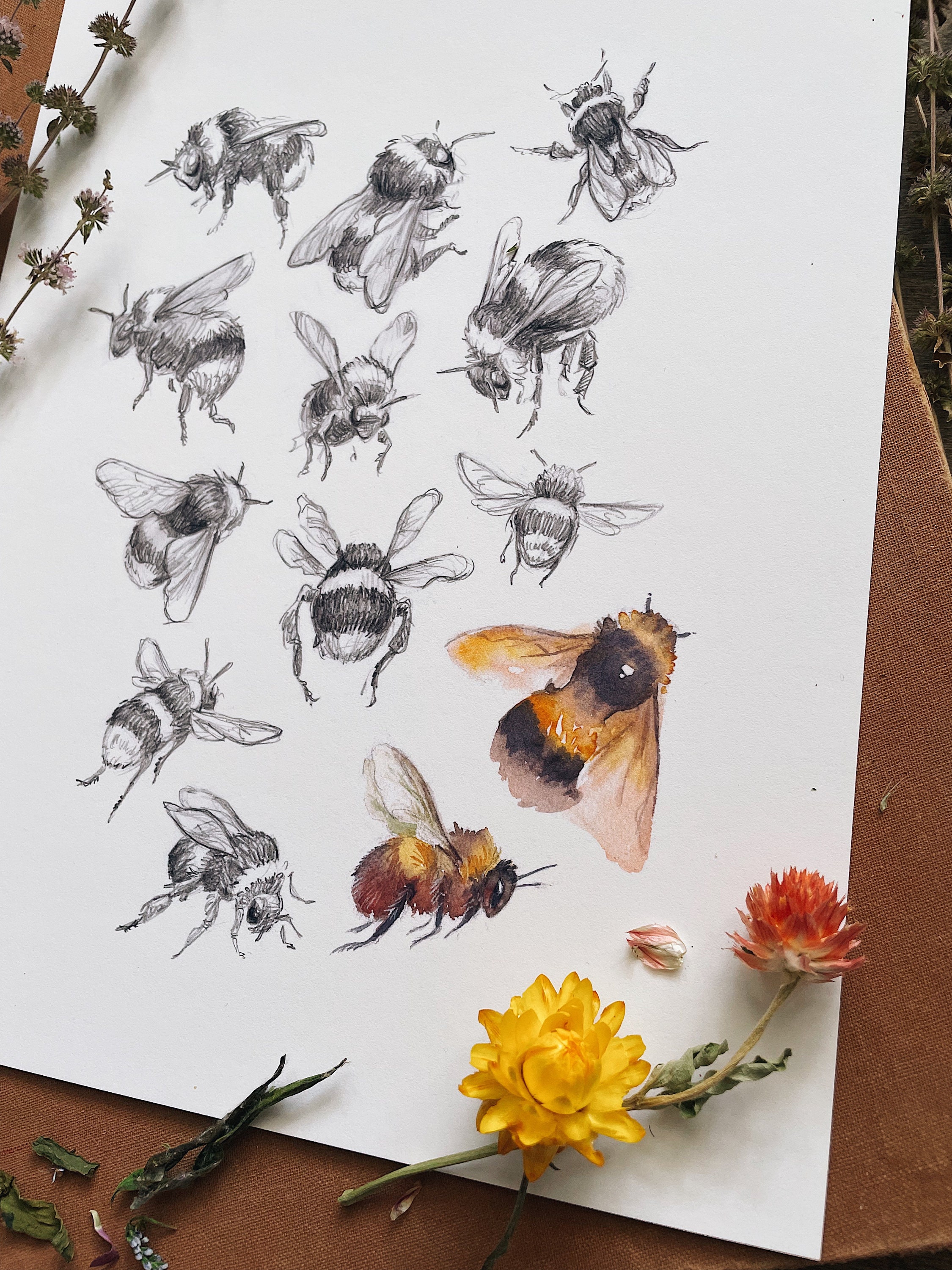 Busy Bees Art Print | Nature Art | Illustration | Bee | Signed Print ...