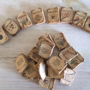 Puede incluir: Una colección de libros de hechizos de bruja en miniatura con títulos como "Poción de bruja", "Encanto de bruja" y "Varita de bruja". Los libros están hechos de papel y tienen un aspecto vintage.