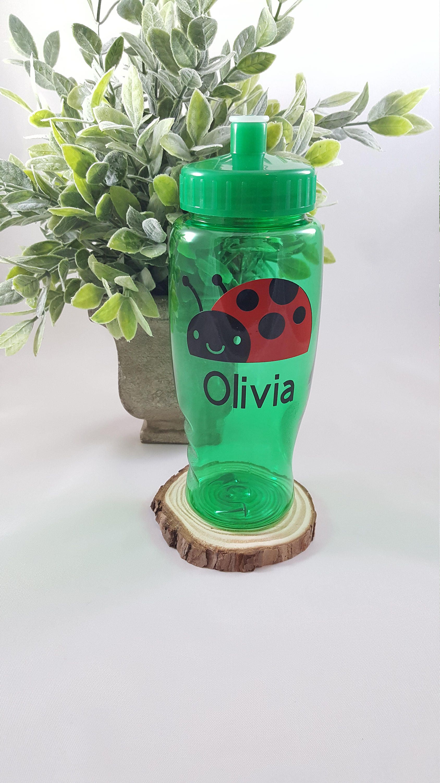Ladybug gift Ladybug water bottle Ladybug Party favor Etsy