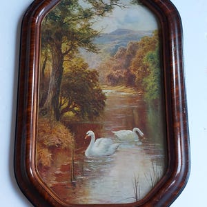 May include: A framed wall art piece featuring a landscape painting of two white swans swimming in a river. The scene includes lush green and brown trees along the riverbank with rolling hills in the distance. The frame is dark brown wood.