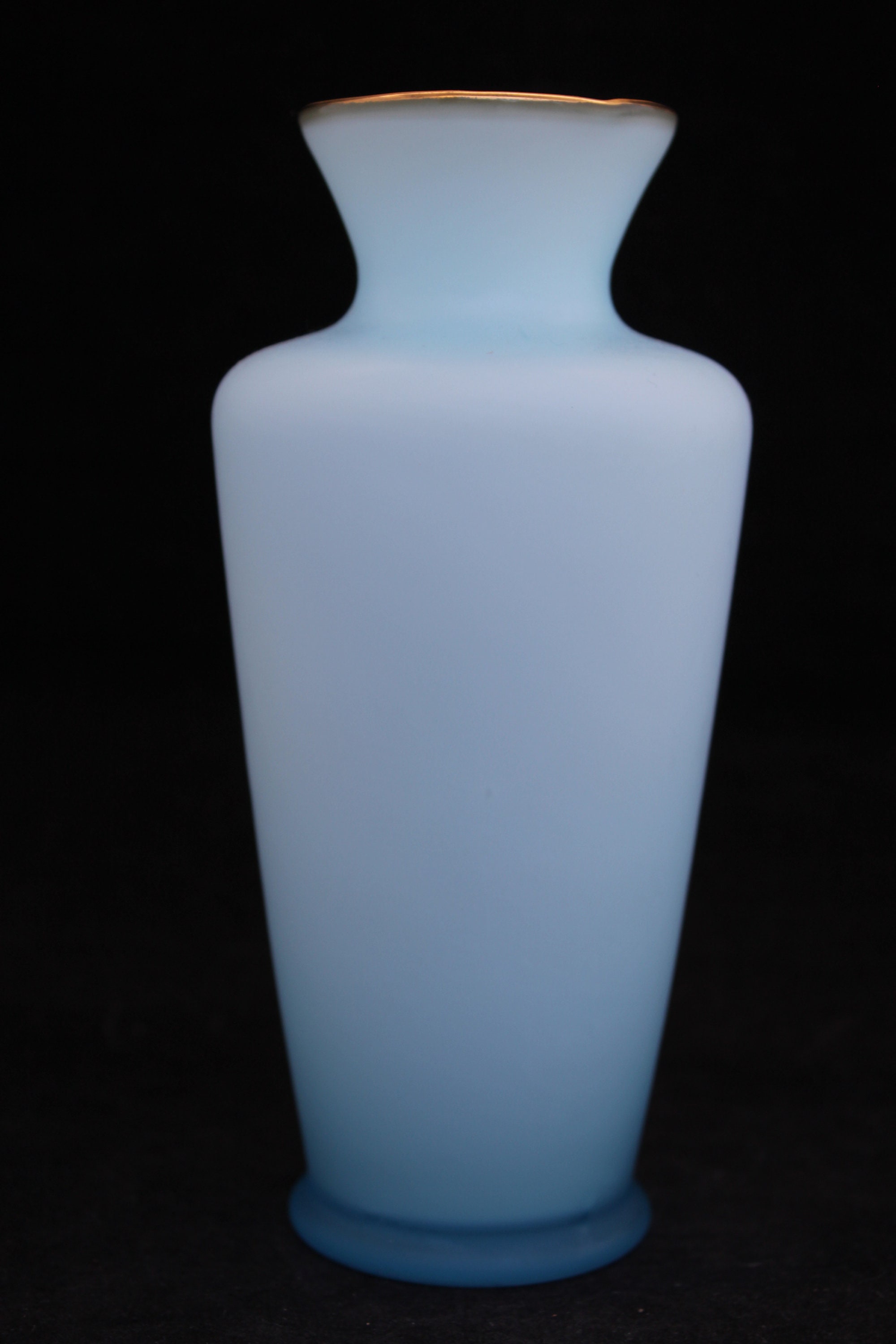 Vintage Blue Frosted Glass Vase With Floral Transfer Decor Etsy