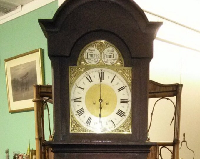Antique Old Junghans Grandfather Clock Brass Face Tempus Fugit Mahogany