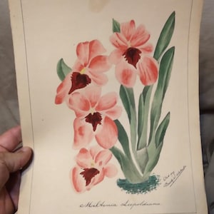 Antique Artist Signed Art Watercolor Painting Barth Ulehake Flowers 1907  B