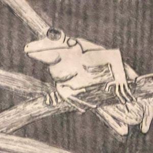 May include: A detailed pencil sketch of a frog perched on a branch. The frog is light-colored with visible eyes and limbs, and the branch is textured. The background is a shaded, neutral tone, emphasizing the frog and branch.