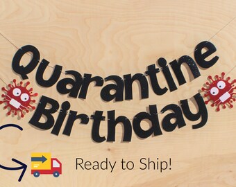 QUARANTINE BIRTHDAY PARTY Banner, Happy Birthday, Birthday Banner, Virtual Birthday Party Banner, Quarantine Birthday Party, Birthday Gift