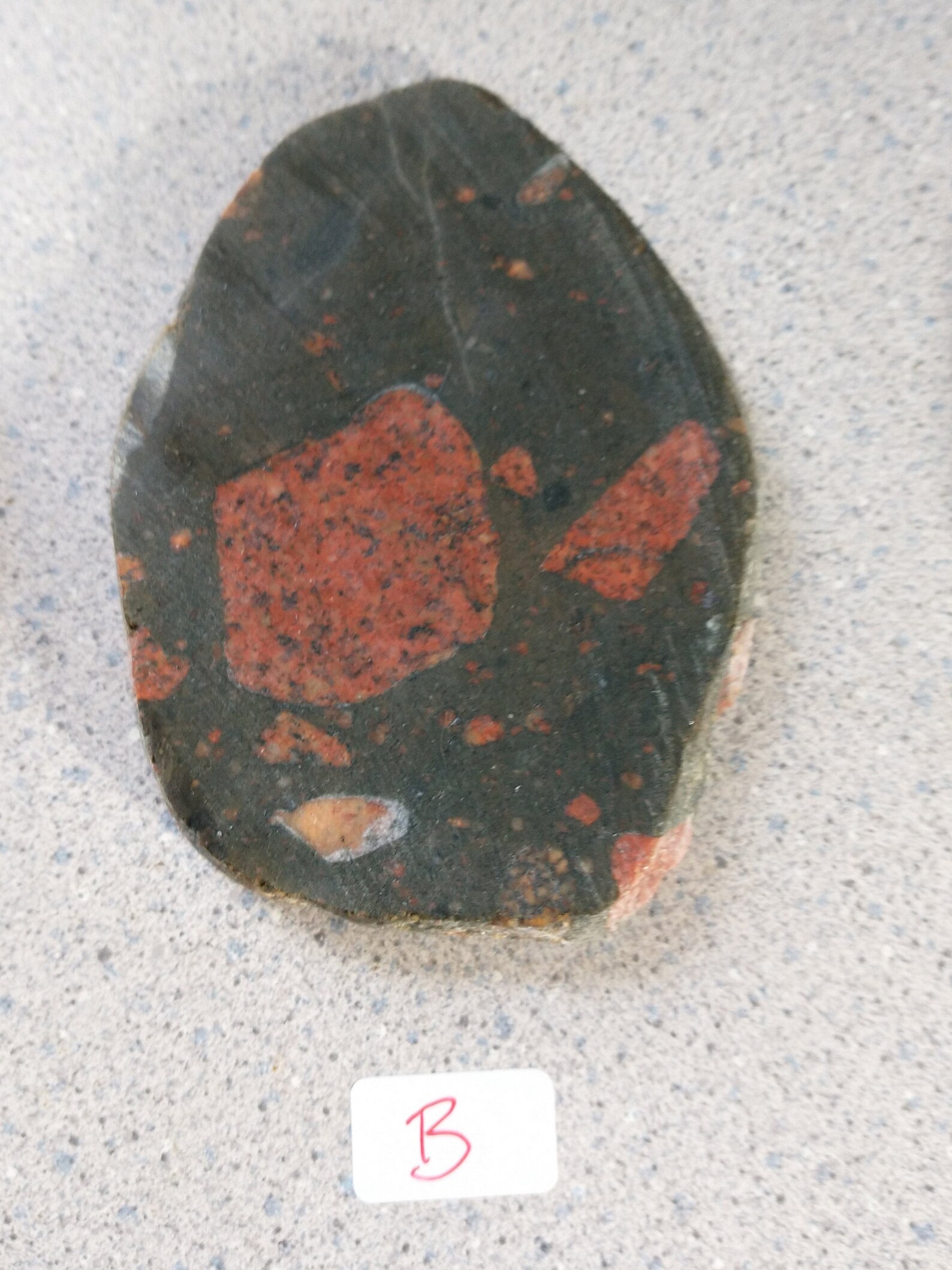 Gowganda Tillite Pudding stone slab for coaster cabbing Etsy