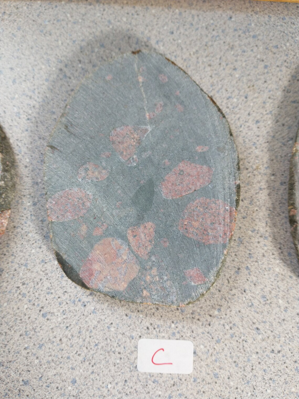 Gowganda Tillite Pudding stone slab for coaster cabbing Etsy