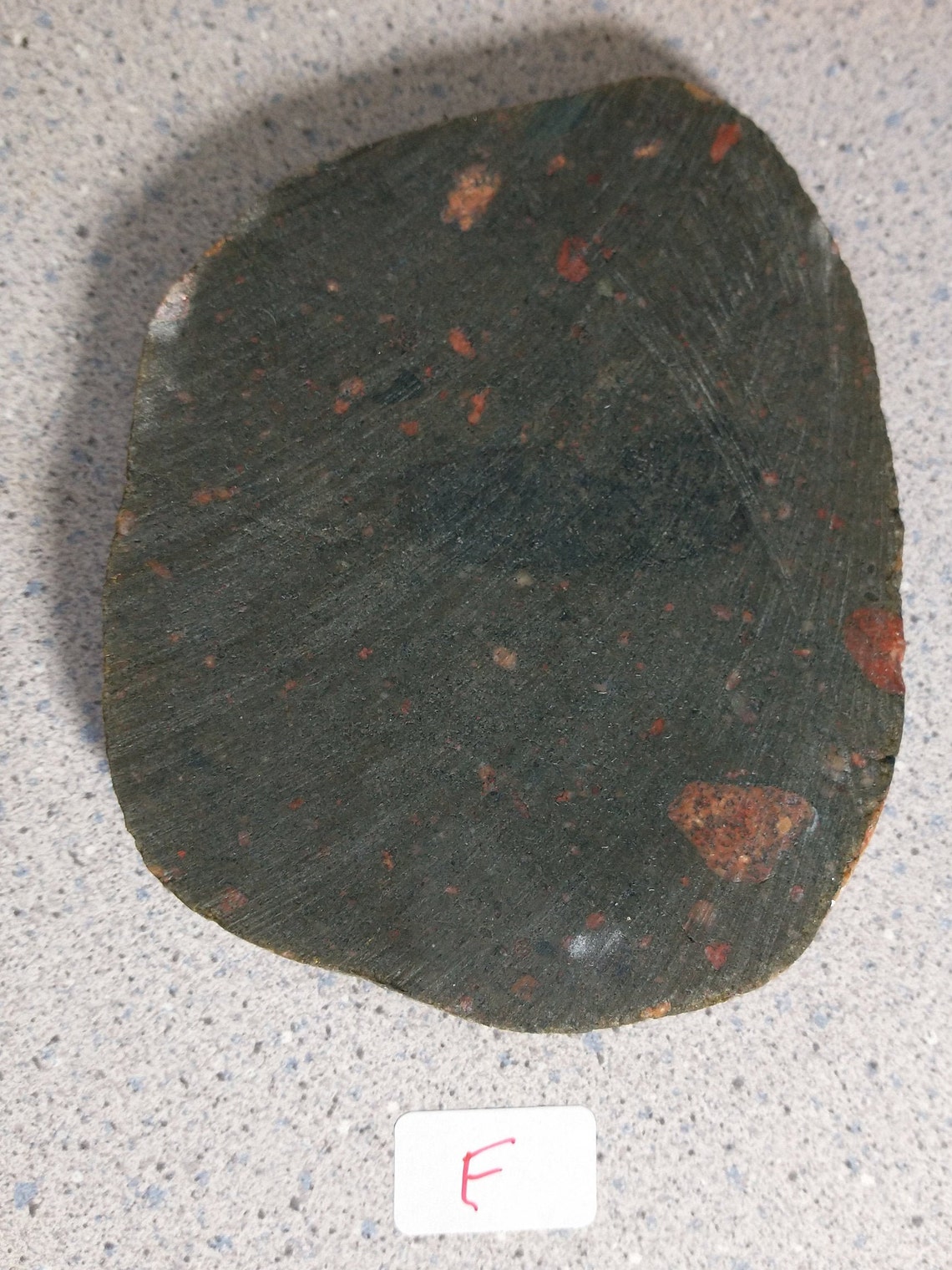 Gowganda Tillite Pudding stone slab for coaster cabbing Etsy