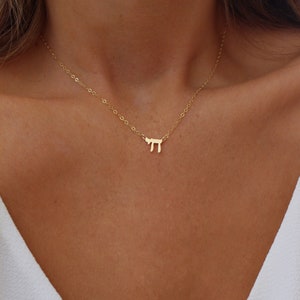 Chai Necklace | Bat Mitzvah Gift | Jewish Jewelry | Tiny Chai Charm Necklace | Jewish Necklace | Gold Chai | Hebrew Necklace | Chai Life