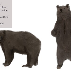 Watercolour Grizzly Bear Clipart Commercial Use PNG Hand drawn Download
