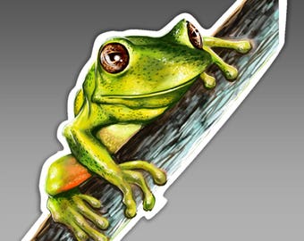 vinyl sticker green tree frog on a branch with big eyes 94 x 98.5 mm ( 3.7 x 3.9 inches ) car or laptop sticker