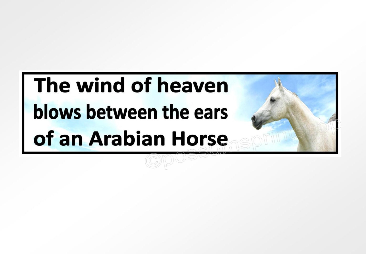Car or Horse Float Bumper Sticker. the Wind of Heaven Blows Etsy