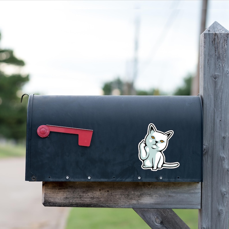 Funny Cat Vinyl Sticker FU Cat Finger Rude Funny Hand Gesture - Etsy