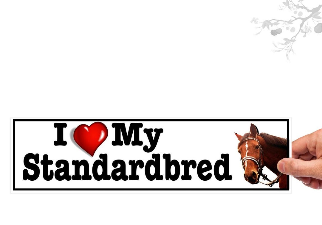 Horse Bumper Stickers. I Love heart My Standardbred Vinyl Etsy