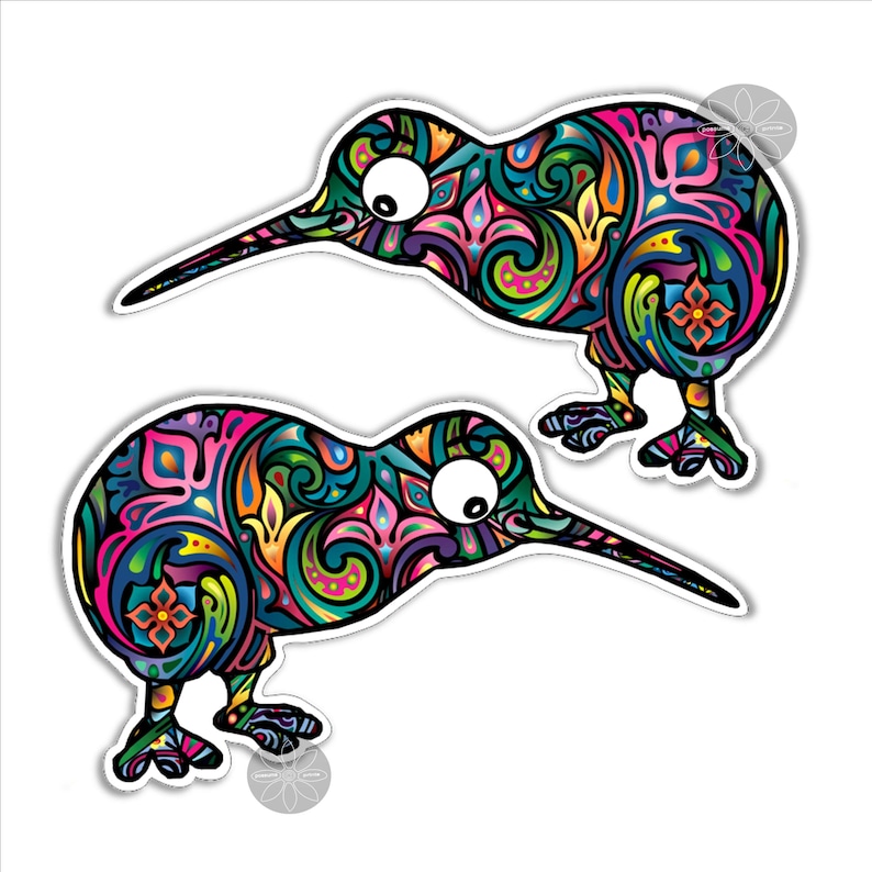Colorful Kiwi Bird New Zealand Vinyl Stickers Mirrored Pair Etsy