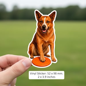 May include: A vinyl sticker of a red and white Australian Cattle Dog sitting with an orange frisbee. The sticker is 52 x 98 mm. The dog has a happy expression. The text on the sticker says 'Vinyl Sticker'.