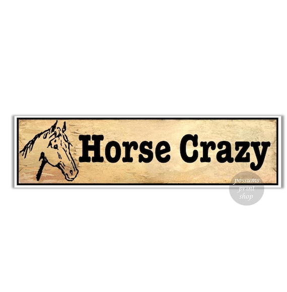 ONLY MY HORSE UNDERSTANDS ME Vinyl Decal Sticker D